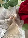1 (14).webp